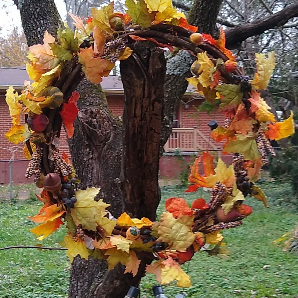 Grape Vine Autumn Wreath